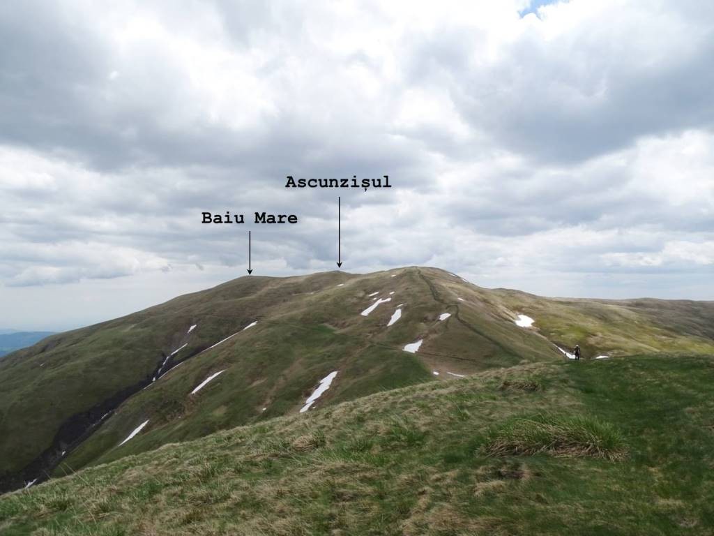 Vedere de pe Baiul Mic Baiul Mare - Muntii Baiului
