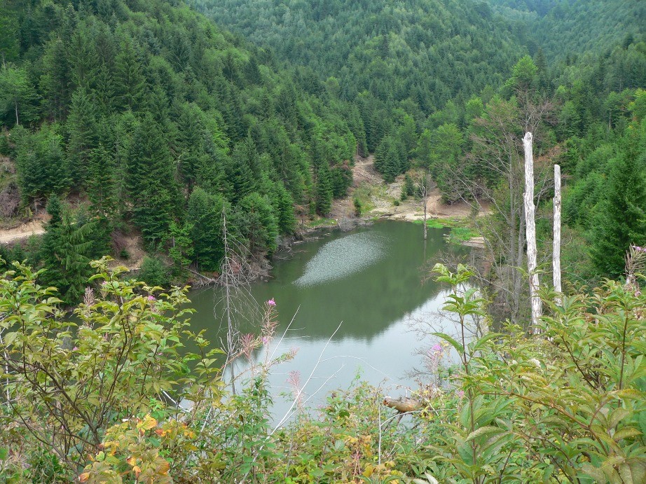 Lacul Agas - Muntii Tarcaului