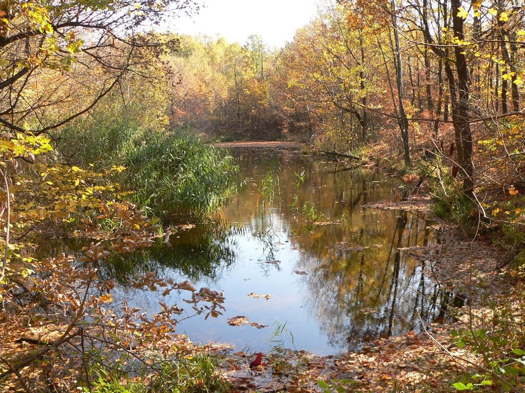 Lacul Andreoaie - Boistea