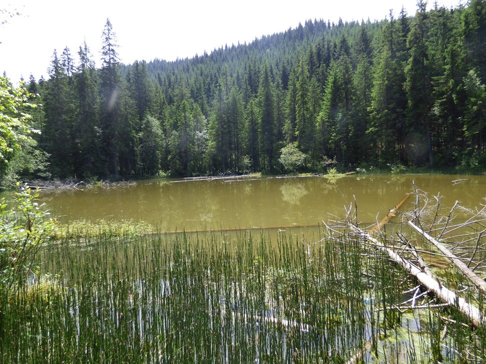 Lacul Bolatau - Obcina Feredeului Lacul Bolatau - Obcina Feredeului