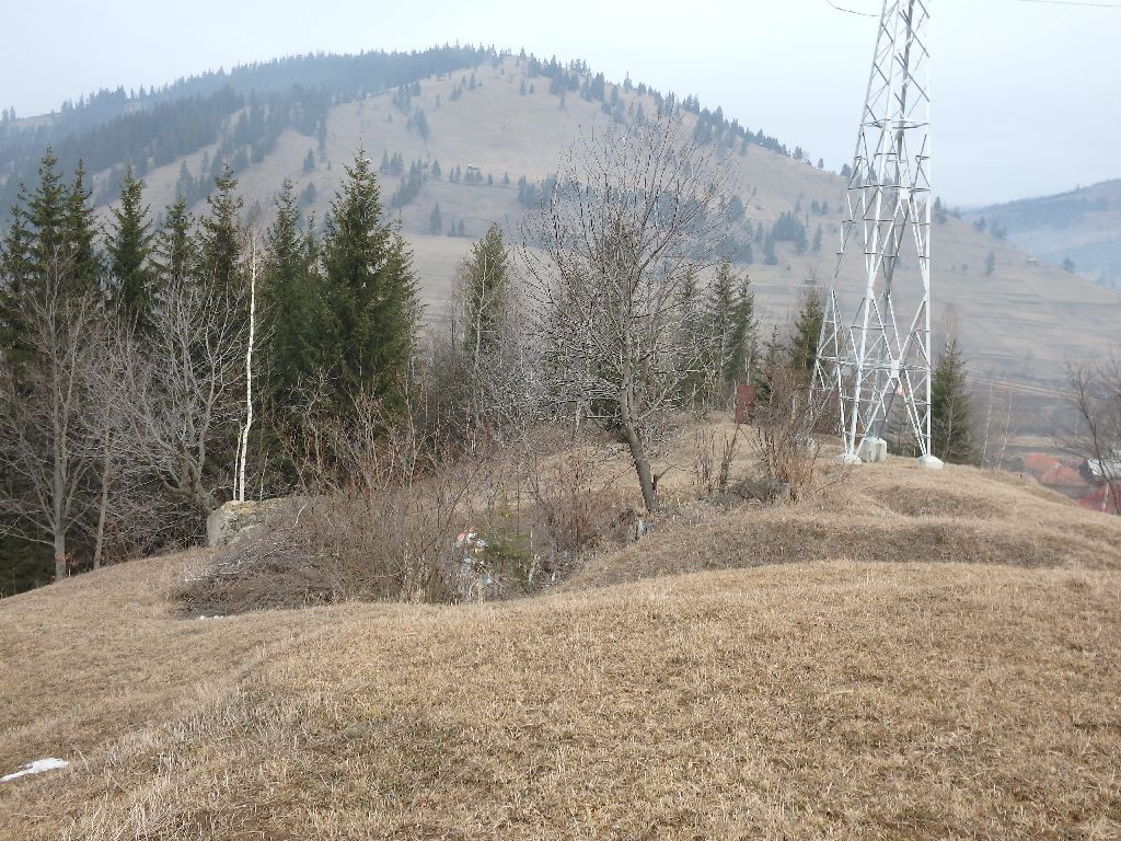Buncarul 1 Buncarele de pe Piciorul Mare - Lunca de Jos