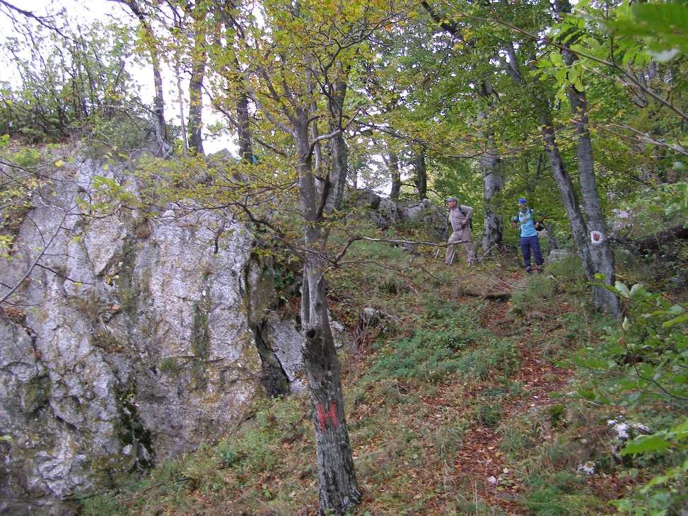 Piatra cu belvedere - Magura Codlei