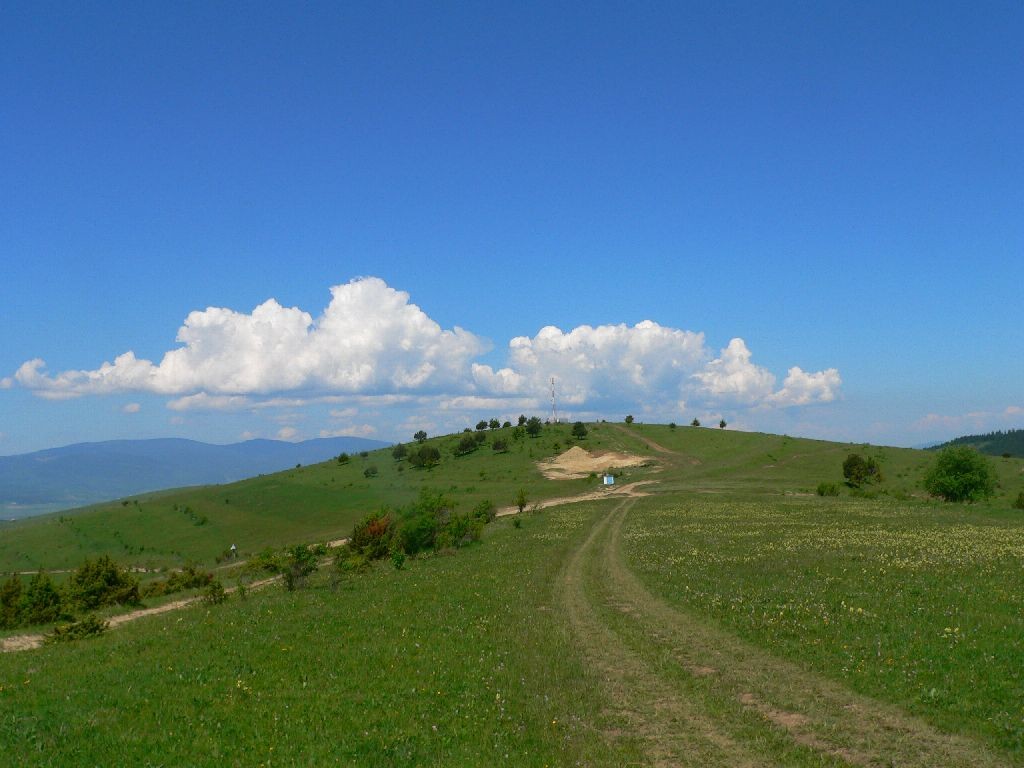 Varful Capul Fagului 939 m Capul Fagului