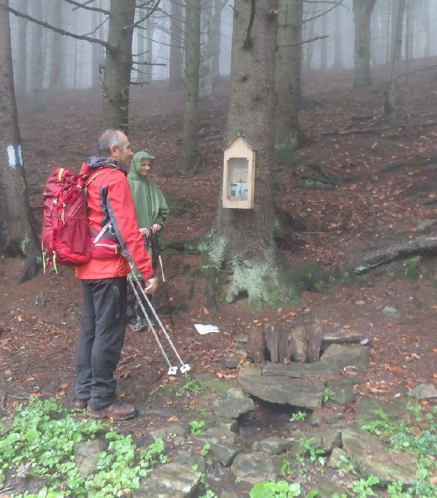 Izvorul de la Botul Farcului