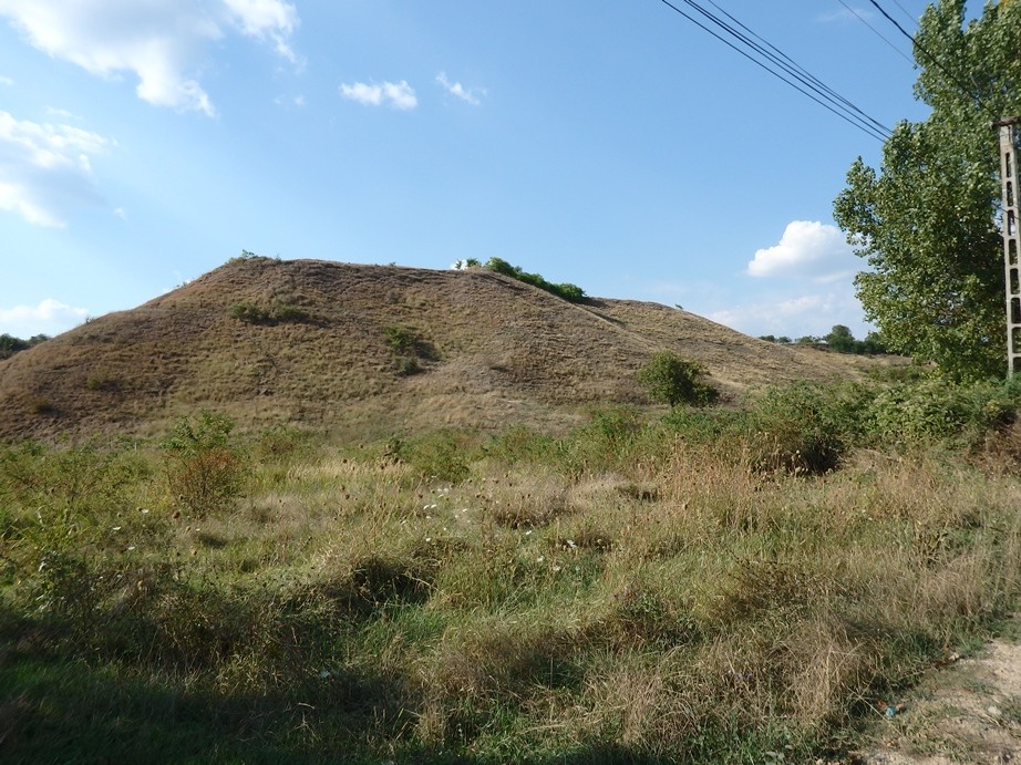 Cetatea dacica de la Carlomanesti