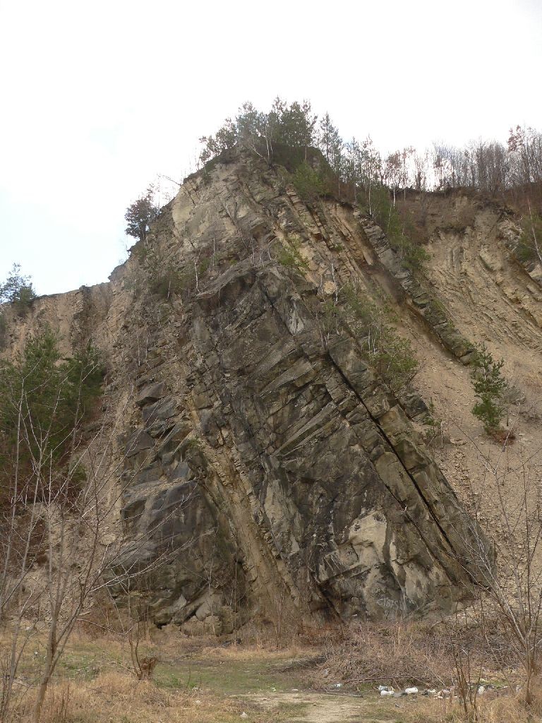 Stanca Cucului de la Bogata