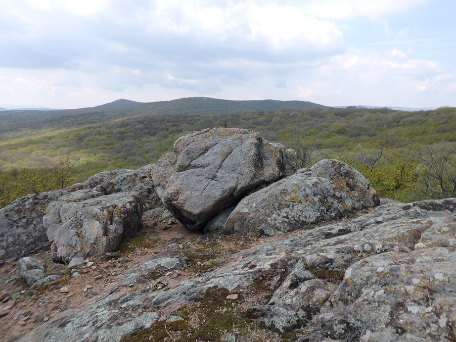 Cetatea de calcar de pe Dealul Edirlen