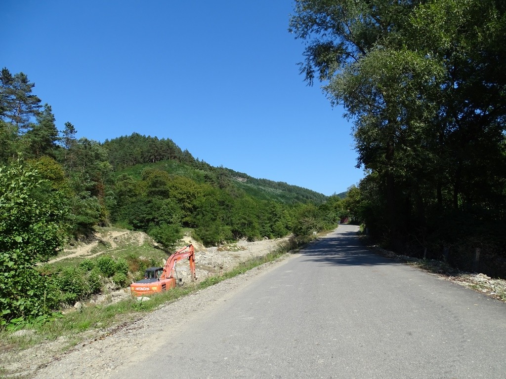 Vedere spre Piatra Floarei din satul Larga Piatra Floarei - Muntele Stogu