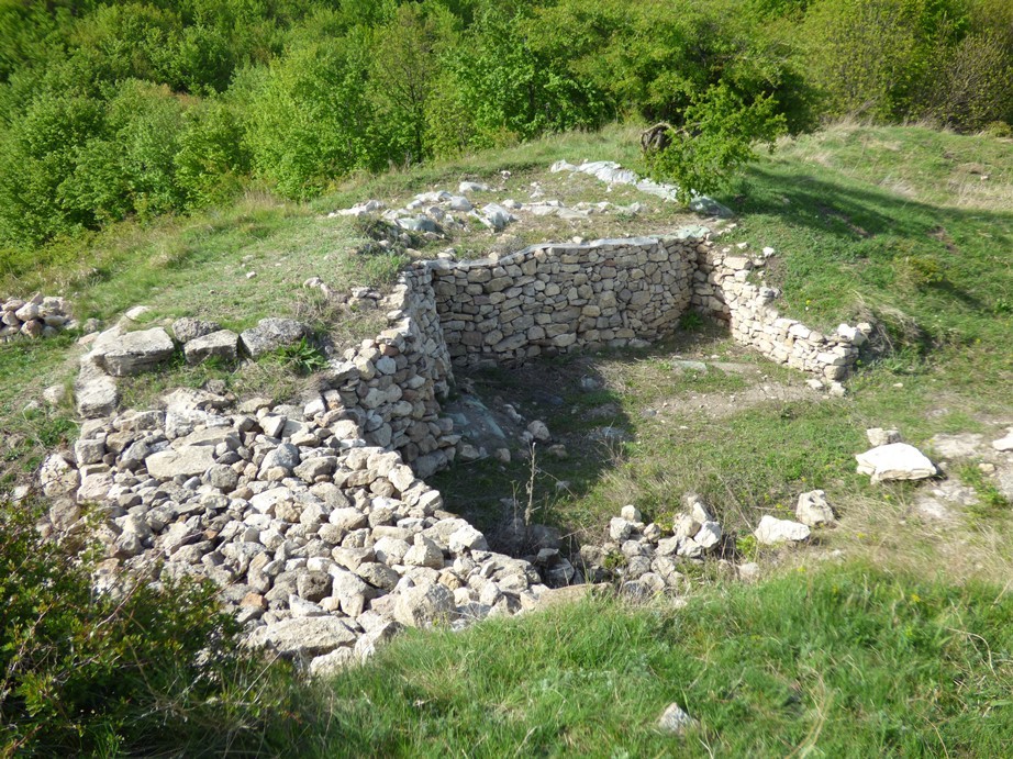 Cetatea dacica de la Gruiul Darii