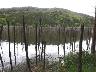 Lacul Cuejdel II