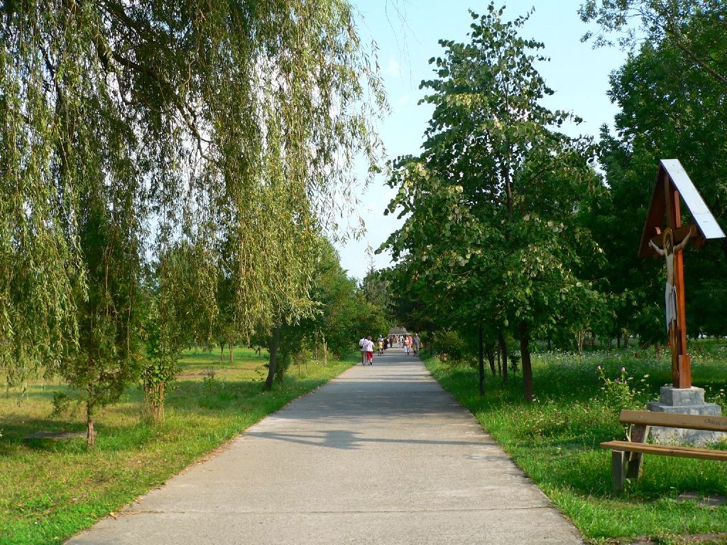 Alee spre Schitul ostrov Schitul Ostrov