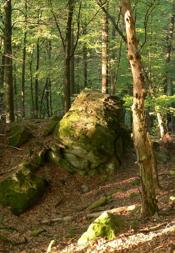 Piatra Soldatului - Valea Oituzului