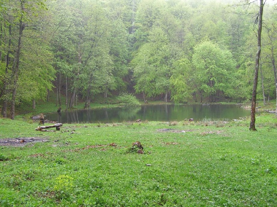 Primavara Lacul Tarnita - Muntii Berzunti