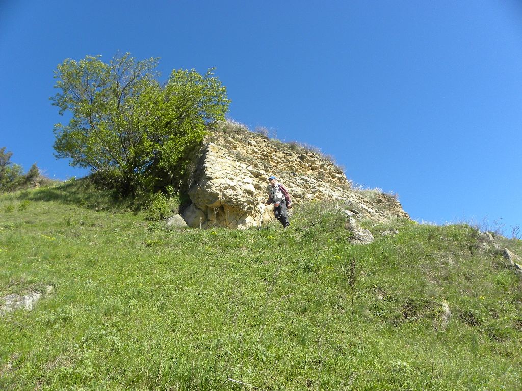 Ruinele castelului Tarnoczy - Sanzieni