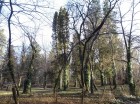 Dalnic Parcul dendrologic al kuriei Lazar-Beczasy Dalnic kuria Lazar Beczasy parc dendrologic