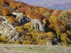 La stanci - Paraul Boghii Mâncătorul de mesteceni ! La Stanci Paraul Boghii
