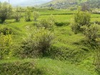 Castrul roman Angustia - Bretcu Termele - detaliu 2 castru angustia bretcu