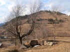 Buncarele de pe Piciorul Mare - Lunca de Jos Buncarul 5 paraul mare buncar