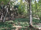 Urcand spre Vf. Carpinis dinspre sud Urcand spre Vf. Carpinis dinspre sud