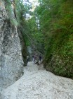 In Cheile Vaii Stanei - partea seaca - 3 In Cheile Vaii Stanei - partea seaca - 3