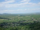 Vedere de pe cinerite cinerite somusca