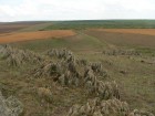 Coltanii Mari Panta sud-estica coltani casimcea