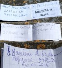 Vizitatori Vizitatori
