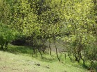Lac de dolina sub Vf. Edirlen Dealul Edirlen Cetatea de calcar