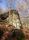 Ciuperca de piatra de pe Plaiul Henter Ciuperca de piatra - 1 ciuperca piatra plaiul Henter Bodoc