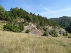 Piatra Floarei Piatra Floarei