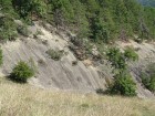 Piatra Floarei - Muntele Stogu Piatra Floarei - detaliu Piatra Floarei