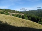 Piatra Floarei vazuta de pe Piciorul Chicerei Piatra Floarei vazuta de pe Piciorul Chicerei