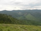 Culmea Grindusului - nord de varf Culmea Grindusului - nord de varf