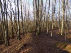 Urme de zid in coltul sud-vestic al cetatii cetatea herecz malnas bodoc