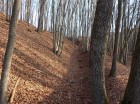 Cetatea Heret - Malnas Sant de aparare pe latura sudica cetatea herecz malnas bodoc