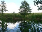 Lacul Cailor - detaliu Lacul Cailor - detaliu
