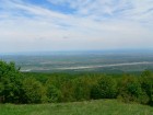 Vedere de pe Magura Odobesti spre est Vedere de pe Magura Odobesti spre est