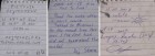 File de jurnal - 1 pietrosu calimani