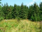 Portile de Vant ale Nemirei Privind spre nord din Saua Sandrului portile vant poarta vanturilor saua sandrului nemira