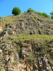 Sub Piatra Soimului - detaliu Sub Piatra Soimului - detaliu