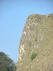 Piatra Soimului - trunchiul - detaliu Piatra Soimului - trunchiul - detaliu