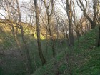 Cetatea dacica Racatau - santul de nord Cetatea dacica Racatau - santul de nord