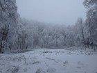 Alta iarna Alta iarna