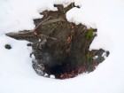 Pestera Barlagul Ursului - Poiana Sarata Iesirea la exterior a hornului barlogul ursului pestera poiana sarata