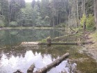 Lacul Veselaru (2)
