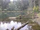 Lacul Veselaru (2) Lacul Veselaru (2)