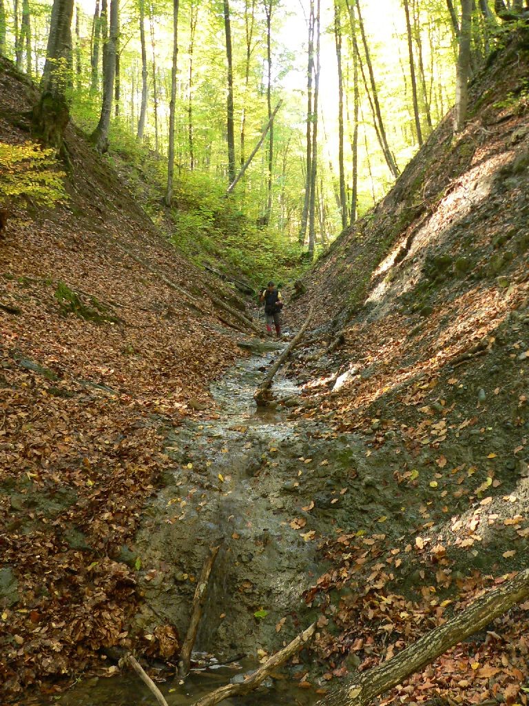 Cascadele Timide de pe valea Baltatei - Culmea Pietricica