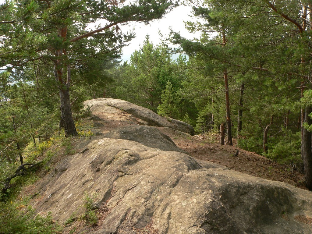 Piatra Uriasului de la Asau