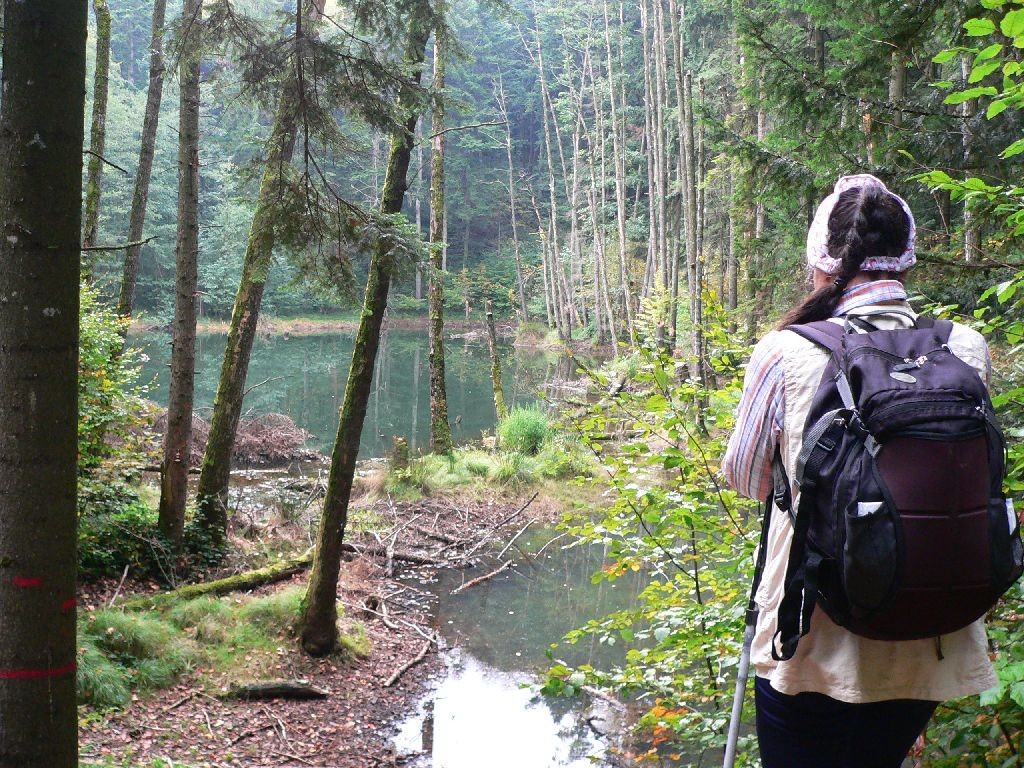 Lacul Veselaru (1) Vedere de pe malul vestic<br /> Lacul Veselaru