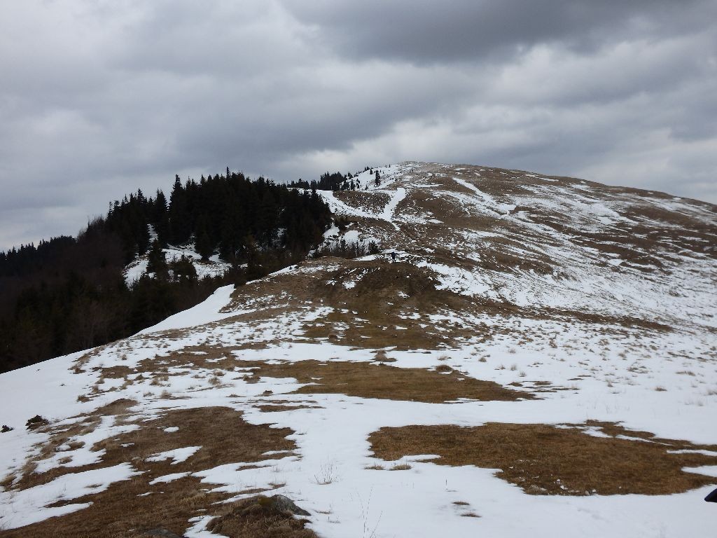 Urcusul final spre Fv. Lepsa dinspre sud Varful Lepsa - Muntii Vrancei